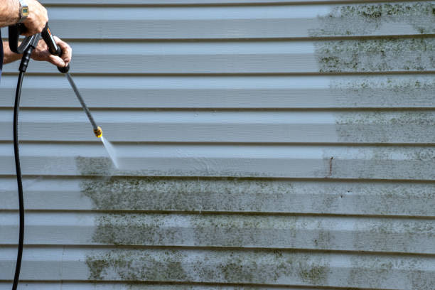 Best Carpet Removal and Disposal  in Gulf Shores, AL